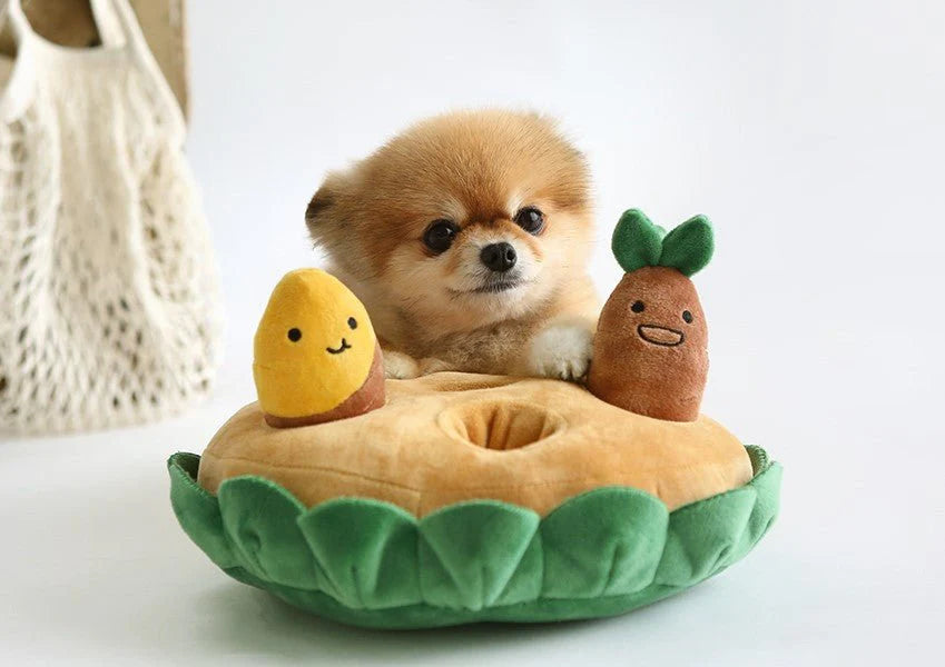 Sweet Potato Set Plush Toys with Sound